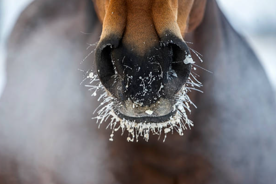 Astro Mud Mats – Revolutionary Mud Management System