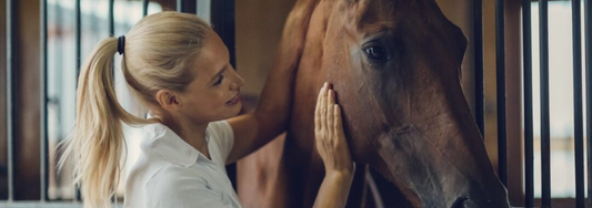 Woman stroking a horses neck in the stables