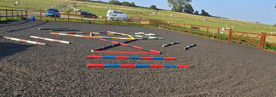 Rubber vs Sand, Fibre, and Woodchip Arena Surfaces: Which Is Right for Your Horse?