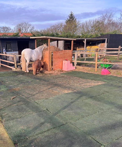 Astro Mud Mats laid on paddock floor with horses eating hay in the background