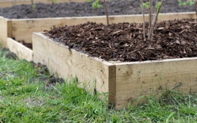 Is Rubber Mulch As Good As Regular Mulch?